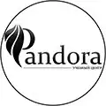 Учебный центр PANDORA