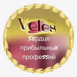 Учебный центр VELES